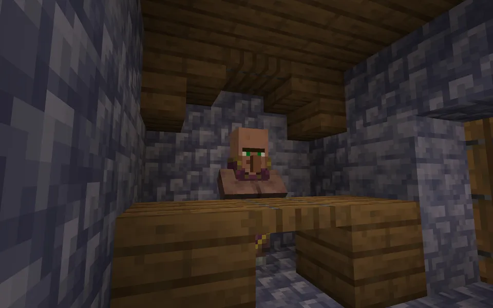 Qishloq himoyasi — Minecraft xarita, rasm 6