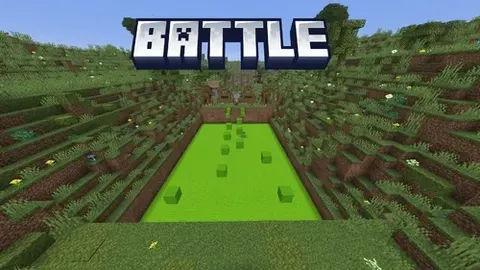 Battle