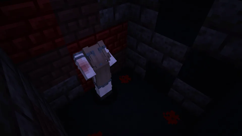 Qora mushuk — Minecraft xarita, rasm 4