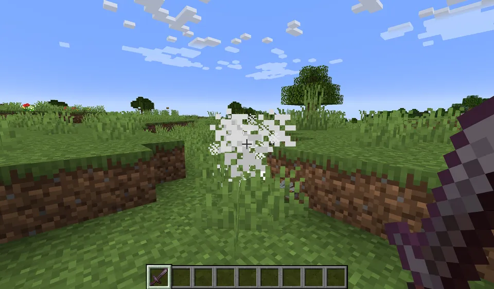 Randomizer Mob Loot — Minecraft mod, rasm 3