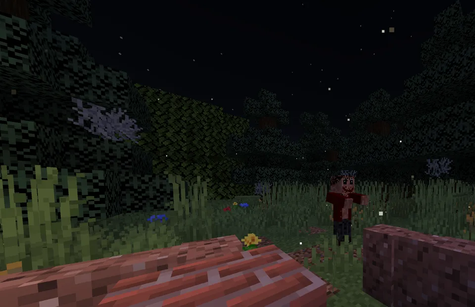 Muvaffaqiyatsiz ko'chish — Minecraft xarita, rasm 4