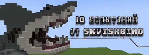 SkvishBind dan 10 ta sinov