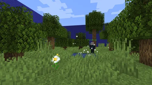 Suvga teginma — Minecraft xarita, rasm 1