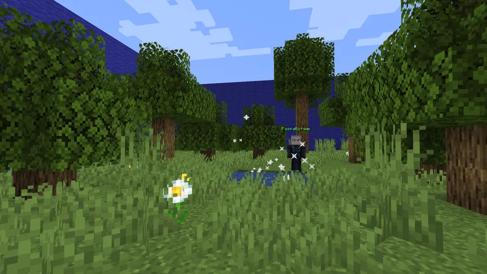 Suvga teginma — Minecraft xarita, rasm 7
