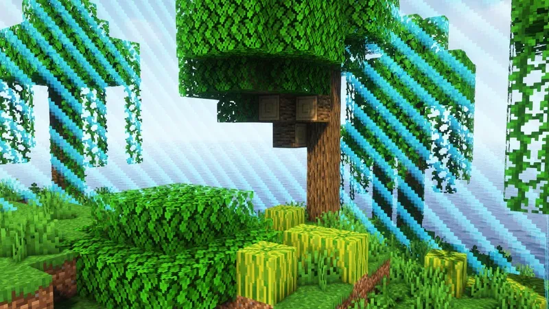 Border Hoarder — Minecraft xarita, rasm 2