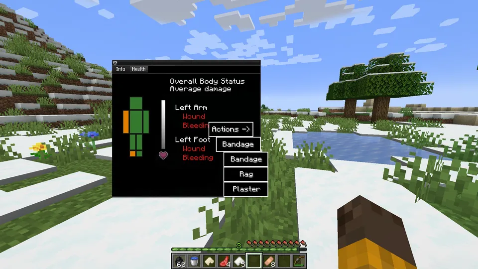 Zomboid Health System — Minecraft mod, rasm 2