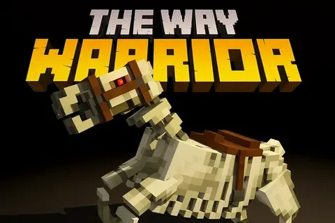 The Way of Warrior