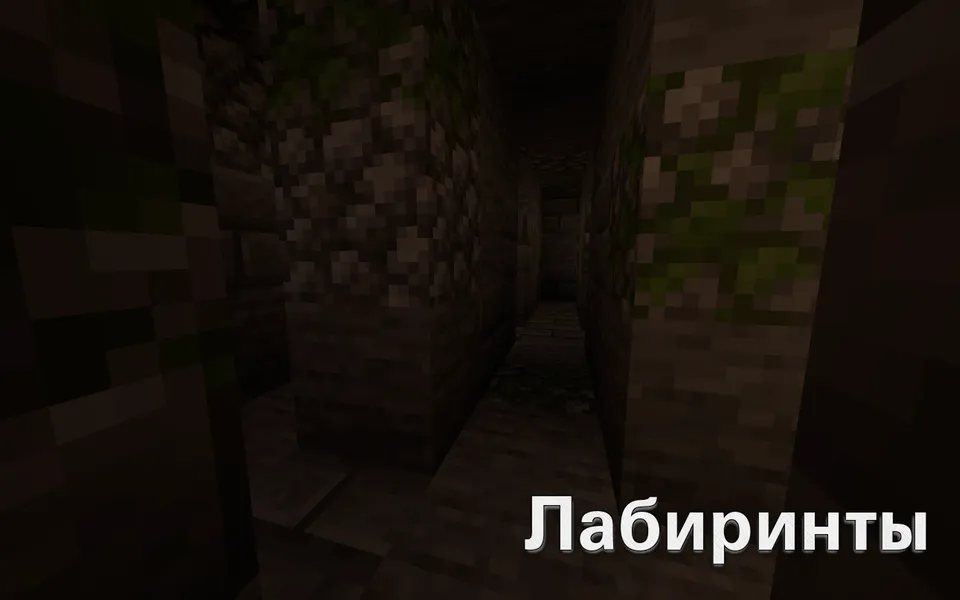 Puzzle — Minecraft xarita, rasm 4