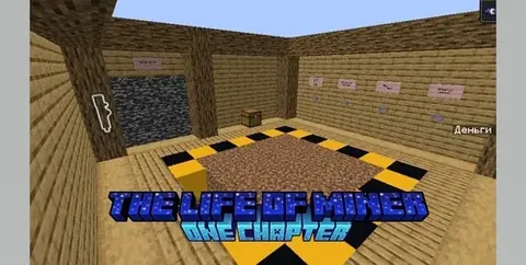 The Life of Miner