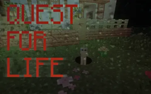 Quest for life