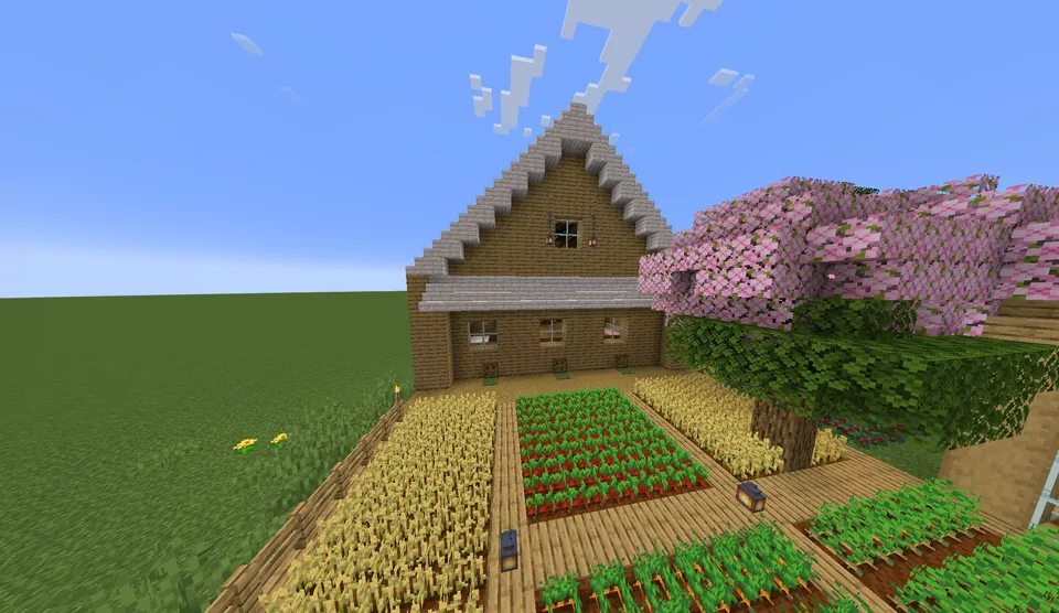 Qishloqdagi yer uchastkam — Minecraft xarita, rasm 2