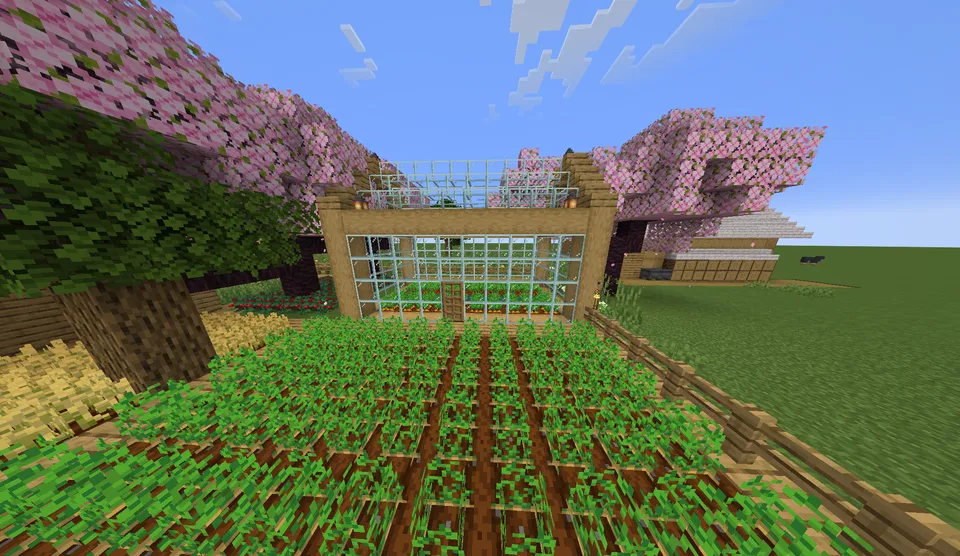 Qishloqdagi yer uchastkam — Minecraft xarita, rasm 4