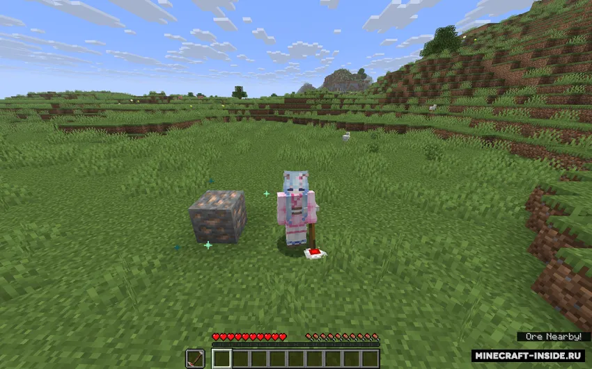 Em's Metal Detectors — Minecraft mod, rasm 2
