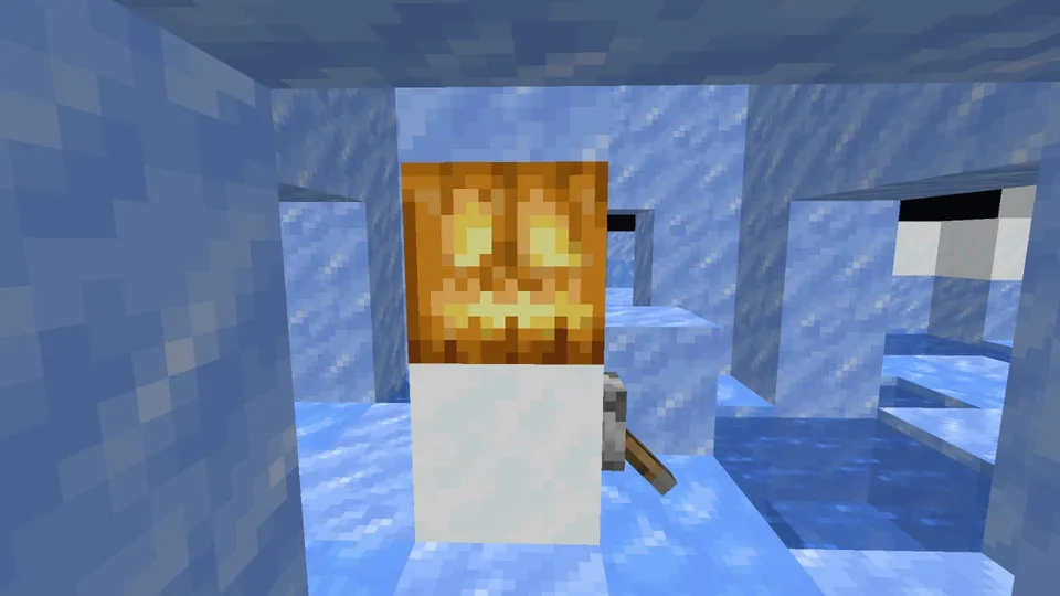 Randomizer — Minecraft xarita, rasm 8