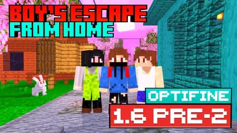 The boy's escape from home