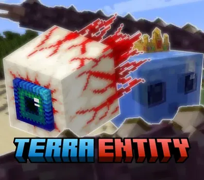 Terra Entity