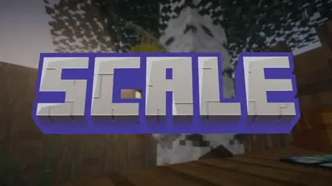 Scale