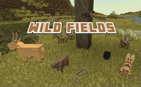 Wild Fields