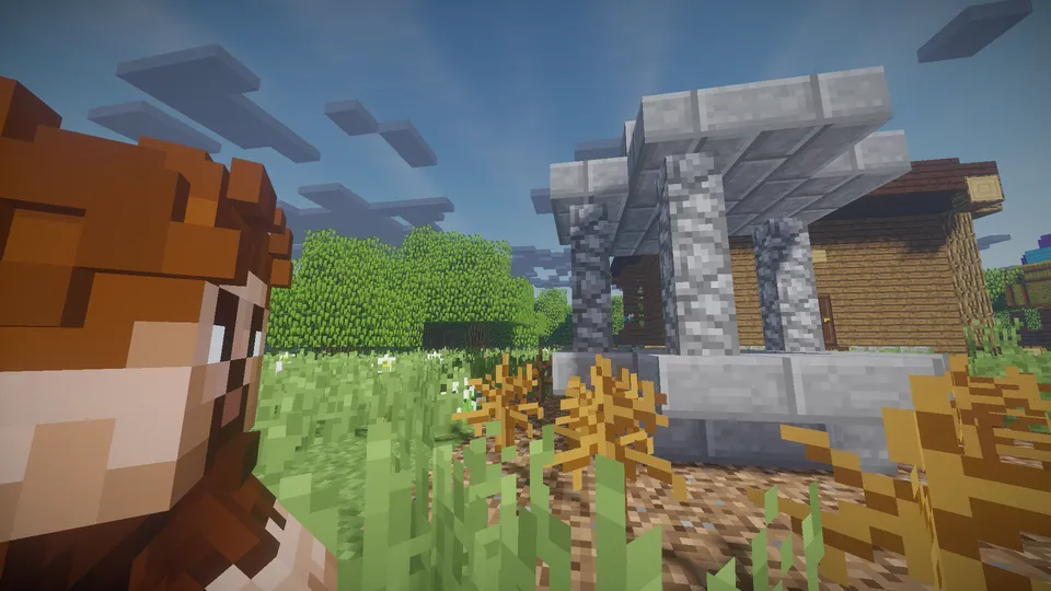 XIV asr o'ti — Minecraft xarita, rasm 3