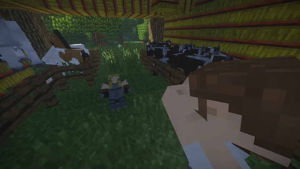 XIV asr o'ti — Minecraft xarita, rasm 4