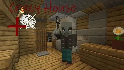 Crazy house+