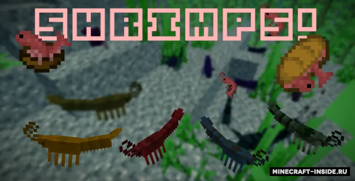 Shrimps! — Minecraft mod, rasm 2