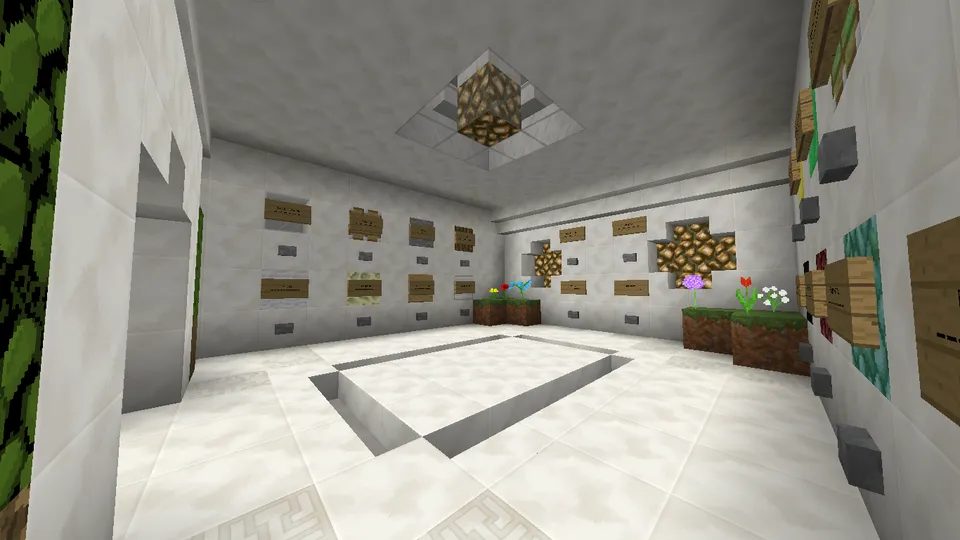 Block Extension Training — Minecraft xarita, rasm 4