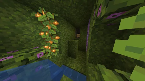 Tezkor o'tish — Minecraft xarita, rasm 1