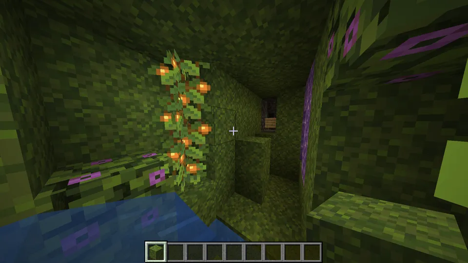 Tezkor o'tish — Minecraft xarita, rasm 2