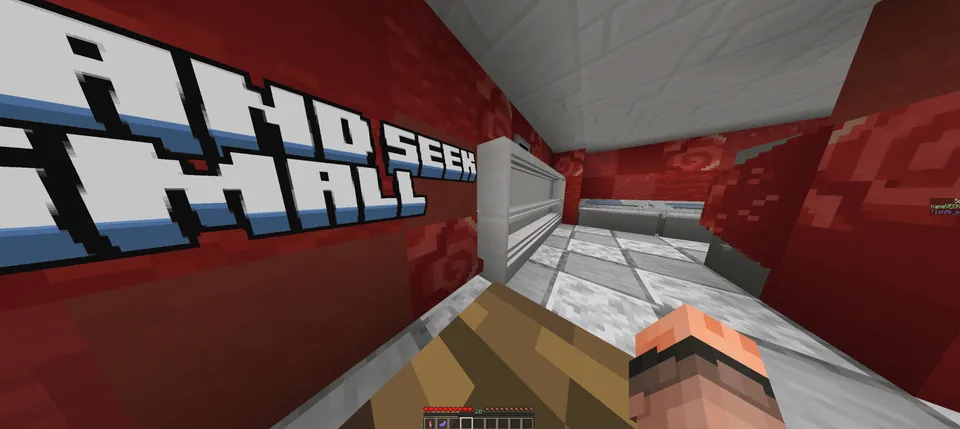 Hide and Seek: small — Minecraft xarita, rasm 8
