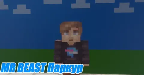 Mr Beast Parkur