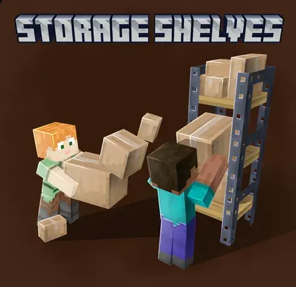 Storage Shelves