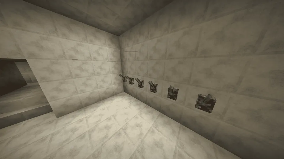 Passing the Testing — Minecraft xarita, rasm 2