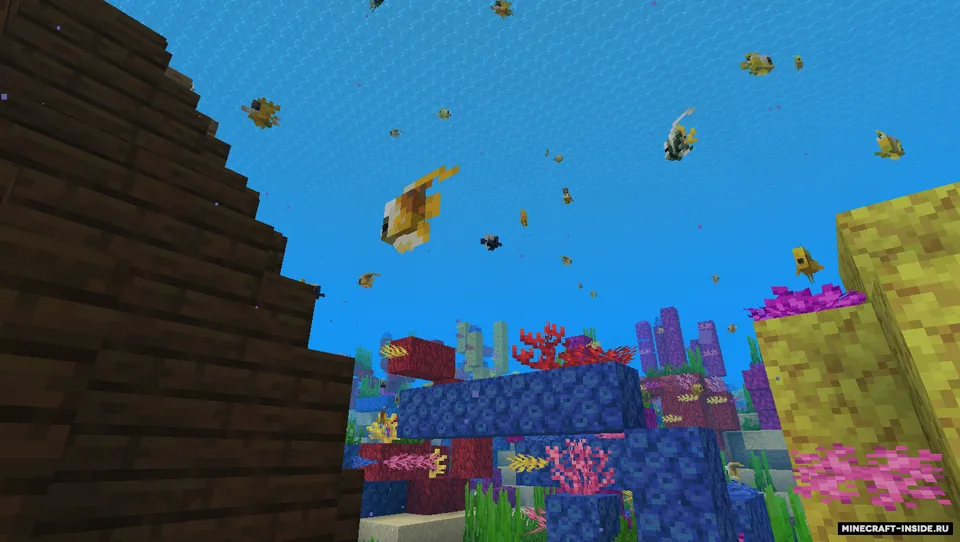 Rainbow Reef — Minecraft mod, rasm 3