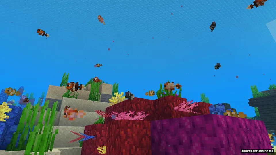 Rainbow Reef — Minecraft mod, rasm 4