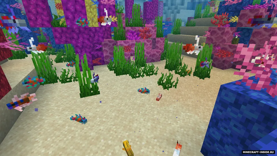 Rainbow Reef — Minecraft mod, rasm 5