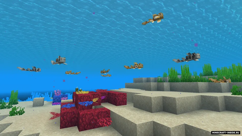 Rainbow Reef — Minecraft mod, rasm 7