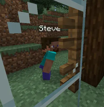 Realistic Nametag