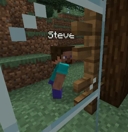Realistic Nametag — Minecraft mod, rasm 1