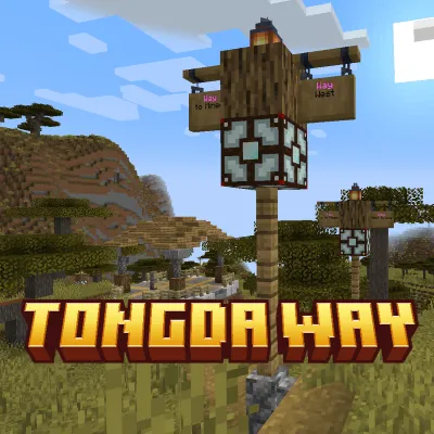TongDa Way — Minecraft mod, rasm 1