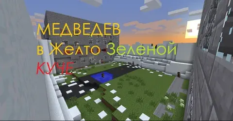 Sariq-yashil uyumdagi Medvedev