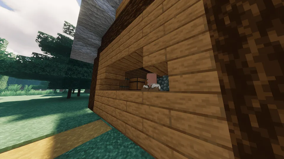 Dmitriyevka qishlog'i — Minecraft xarita, rasm 6
