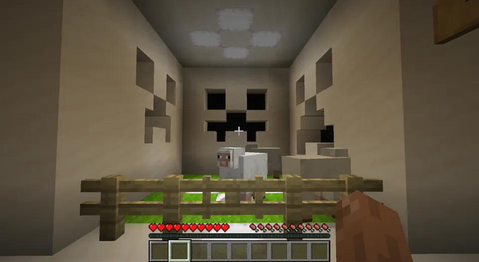 Find anomalies — Minecraft xarita, rasm 6
