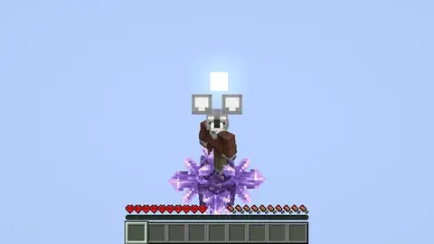 The Void SkyBlock Hardcore
