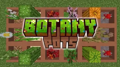 Botany Pots