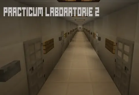 Practicum Laboratorie 2