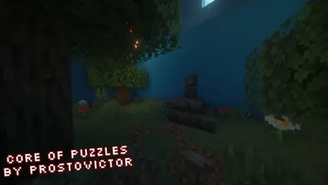 Core of Puzzles