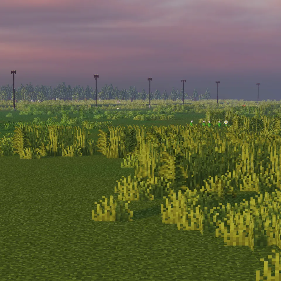 Qishloq hududi — Minecraft xarita, rasm 5