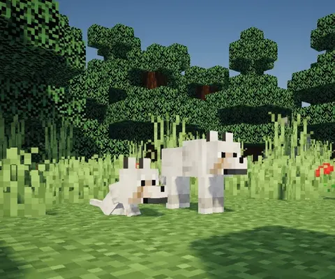 Wildcraft