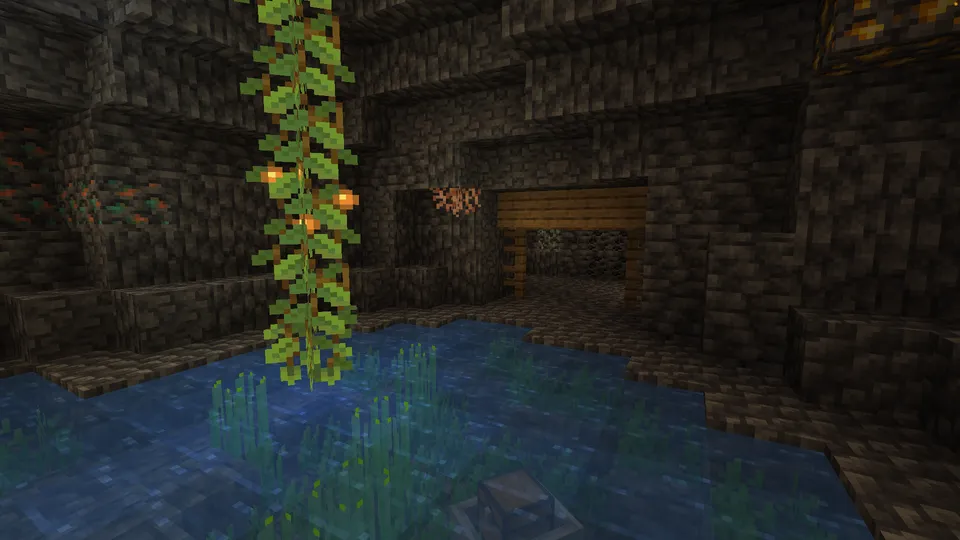 No exit? — Minecraft xarita, rasm 4